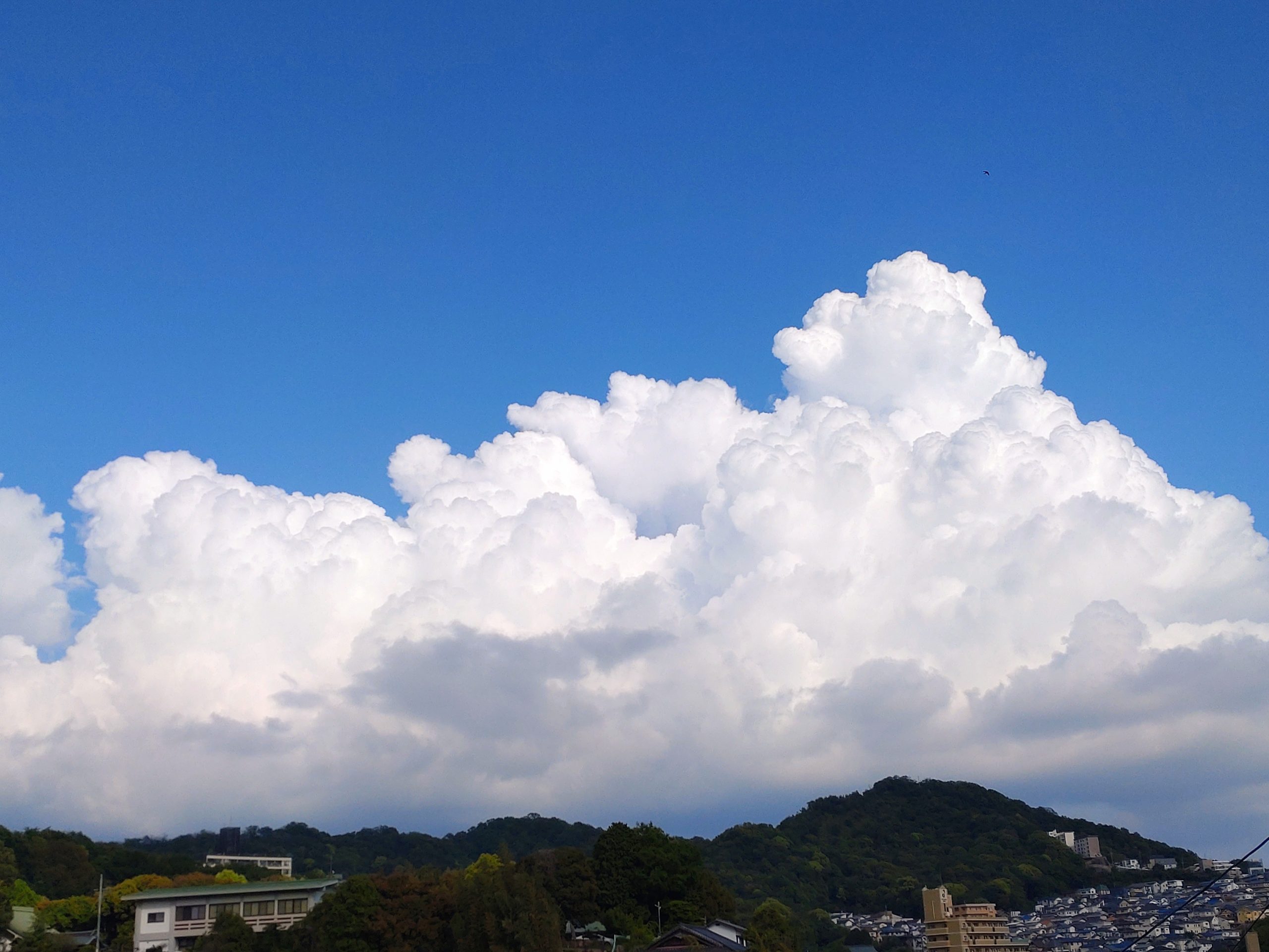 夏が近づく。