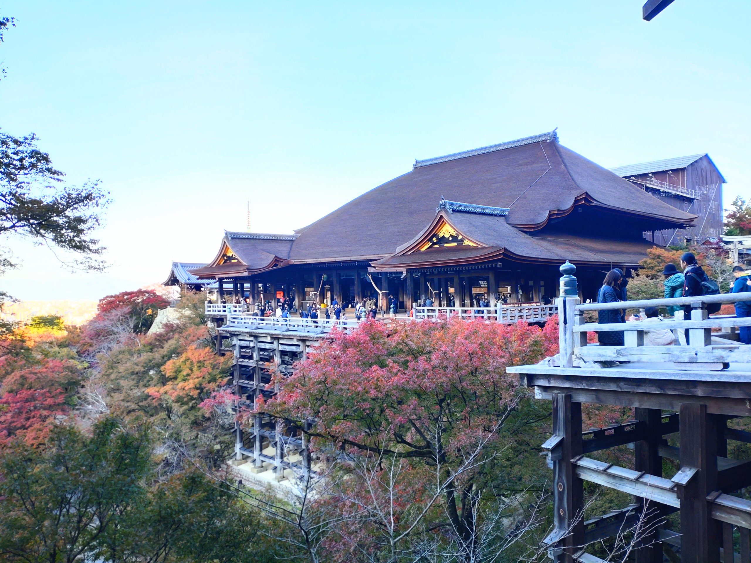 京都に行ってまいりました…の巻。