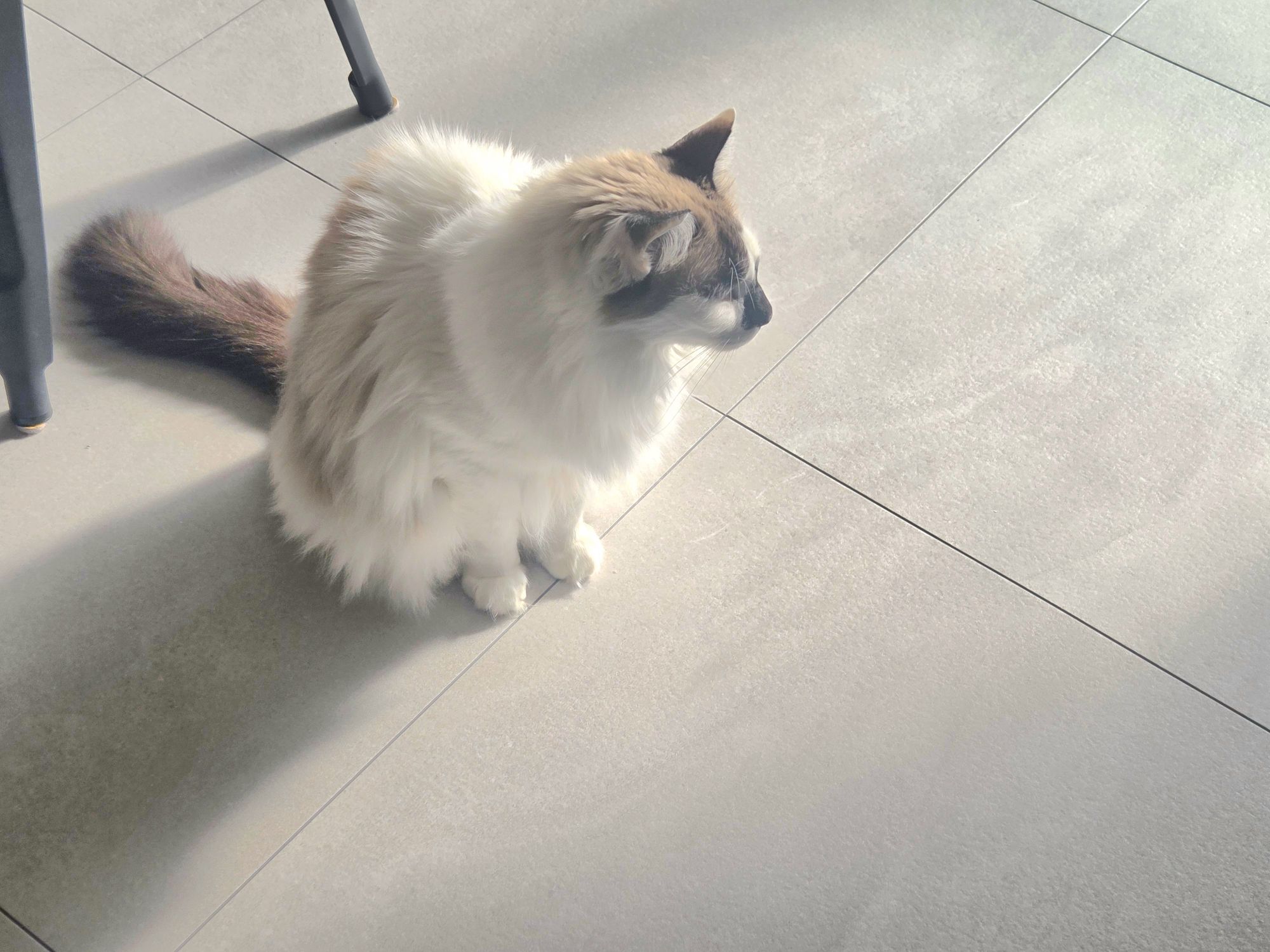 明けましておめでとうございます。